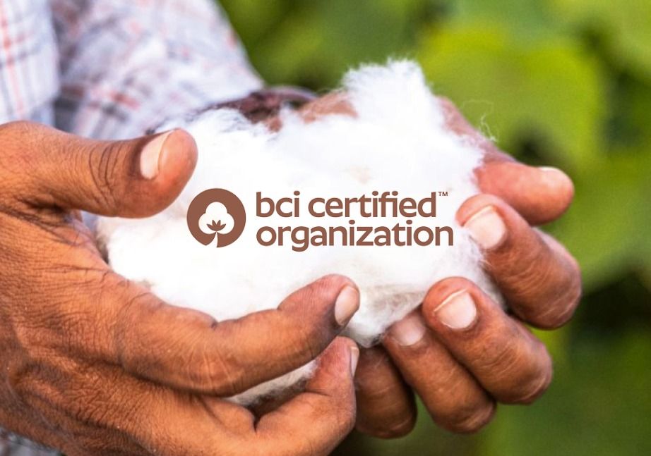 bci certified organization Logo
